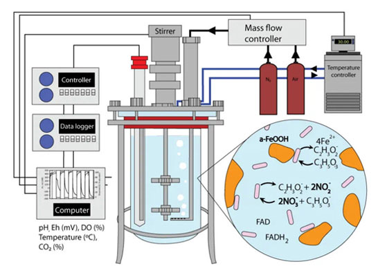 exploring the working principle of photobioreactor