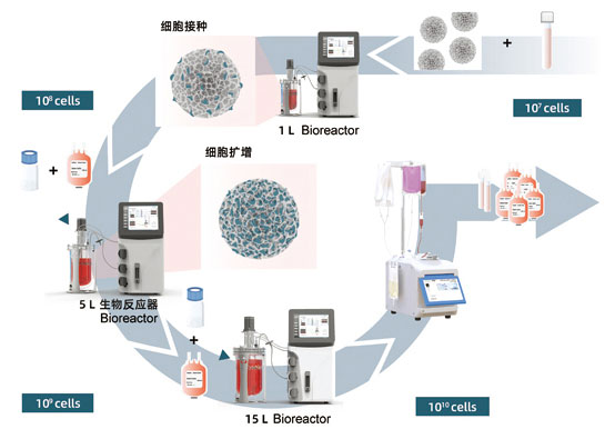 Innovations of Airlift Fermenter