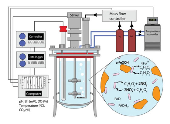 Parallel Bioreactors