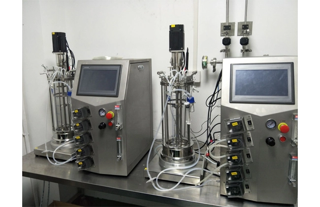 bioreactor for bacterial growth