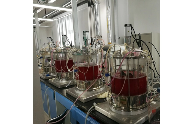 cultivation of mammalian cells using a single-use pneumatic bioreactor system