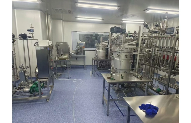 bioreactor vaccine production